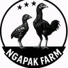 kandngapak.farmkecil5