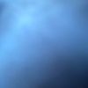 egg802838