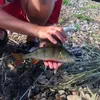 samfishery
