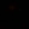 tonduangdee7