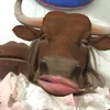 Mít ju🐷