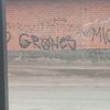 omarcano489