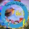 thp.ti51