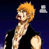ichigo.kurosaki9537