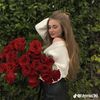 user84008232860776