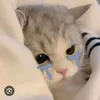 helo_121013