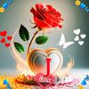 junaid..mayo..7555