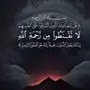 user257548171331