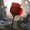 abirkhan018655