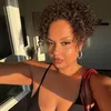 laina_amd2