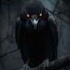 TheBlackRaven 🕯️🐦‍⬛