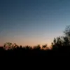user7912100209417