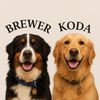 kodabrewerpnwdogs