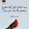 user7612988152307