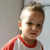 domi_htj