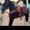 nathalia88952