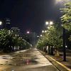 luxx_reda