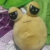 pouusito_rtx