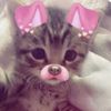 chaybear5