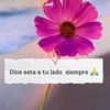 coco449666