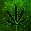 ganjateam02