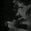 gum_nam51