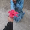 user780801794