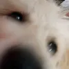 _.ngjiw._