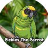 Pickles The Parrot