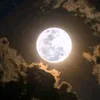 kon._4