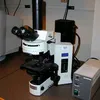 Microscopic life