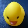 ducky.quack2