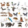 Jen_Animals