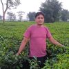 poudel43214