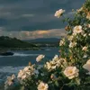 kh_ll141