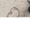 cv76306