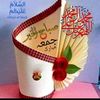 shamraizali768