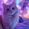 animallove915