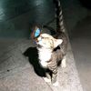 tithi_moni68