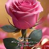 tahir.ramzan065