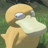 duckponds_