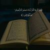 essamsasa4129
