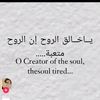 shahd.osama355