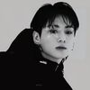 bts.army.jungkook24