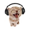 funksongsoftheday