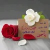 yasmina.koki0