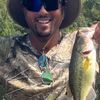 basscatchum