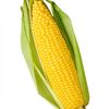 corn1750