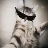 nycollefreita