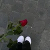 𝔃𝓪𝓷𝓸.